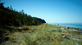 Fillongley Provincial Park