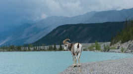 Muncho Lake Provincial Park