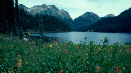Monashee Provincial Park