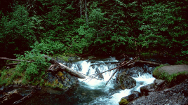 Mount Fernie Provincial Park
