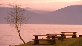 Bamberton Provincial Park
