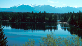 Kikomun Creek Provincial Park