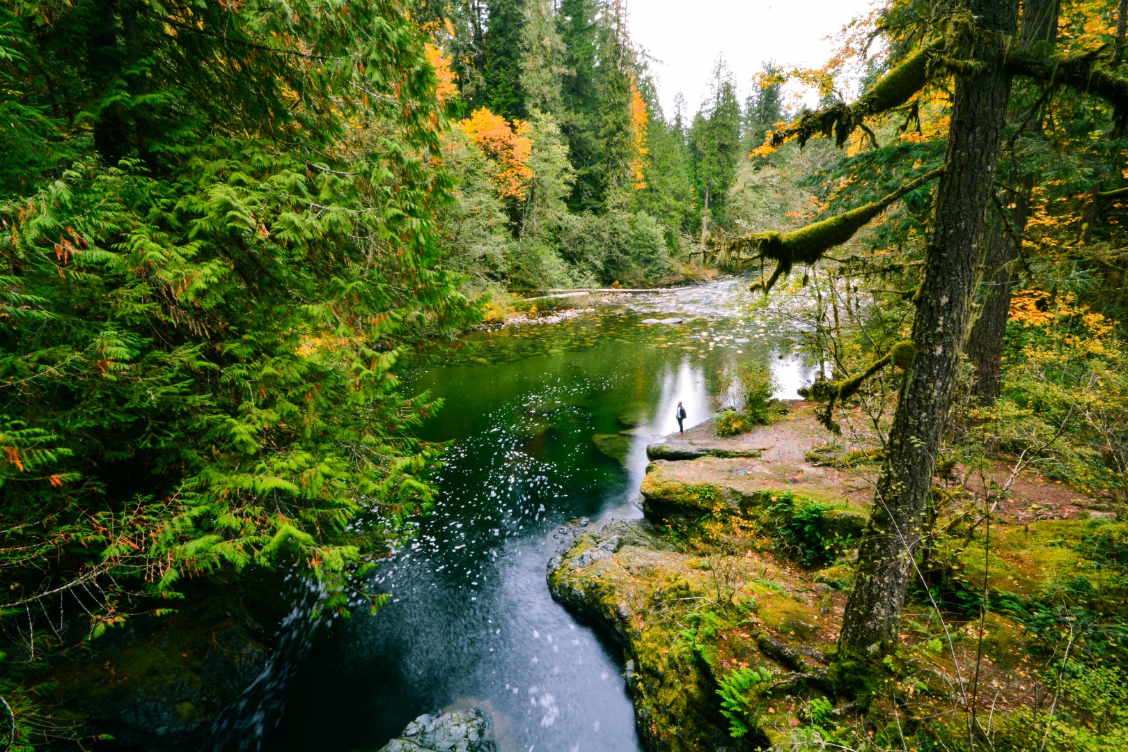 Englishman River Falls Provincial Park