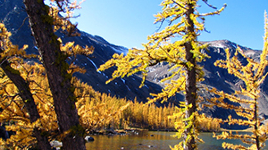Cathedral Provincial Park