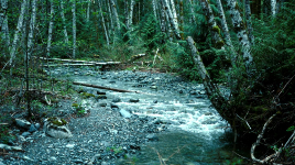 Taylor Arm Provincial Park