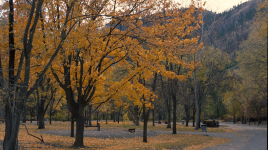 sx̌ʷəx̌ʷnitkʷ Provincial Park (Okanagan Falls)