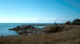 Discovery Island Marine Park
