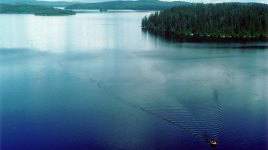 Carp Lake Provincial Park