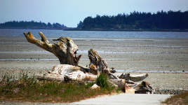 Rathtrevor Beach Provincial Park