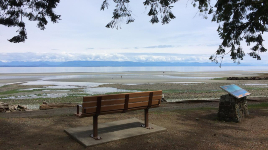 Miracle Beach Provincial Park
