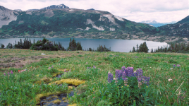 Tweedsmuir Provincial Park – South