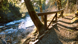 Cowichan River Provincial Park