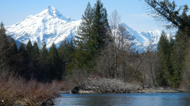 Skagit Valley Provincial Park