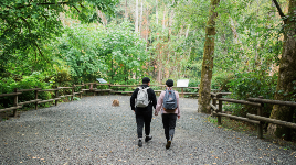 Goldstream Provincial Park