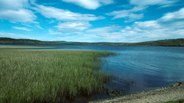 Swan Lake Provincial Park