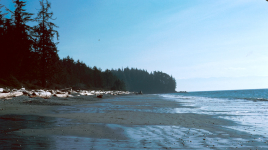 French Beach Provincial Park