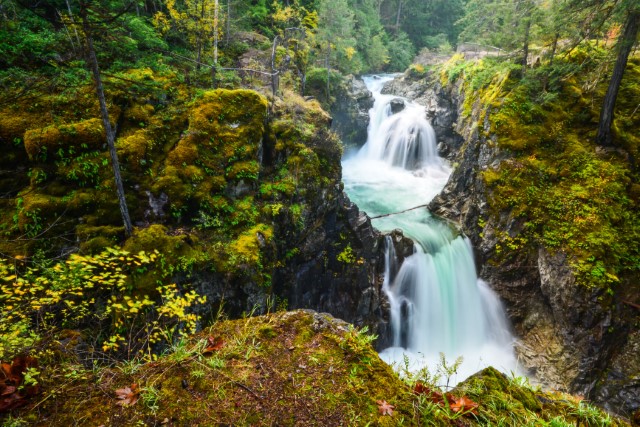 Little Qualicum Falls Provincial Park
