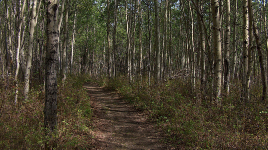 Charlie Lake Provincial Park