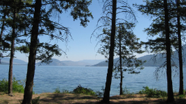 Fintry Provincial Park