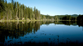 Champion Lakes Provincial Park