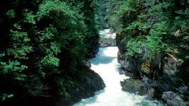 Stamp River Provincial Park