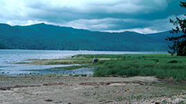 Porpoise Bay Provincial Park