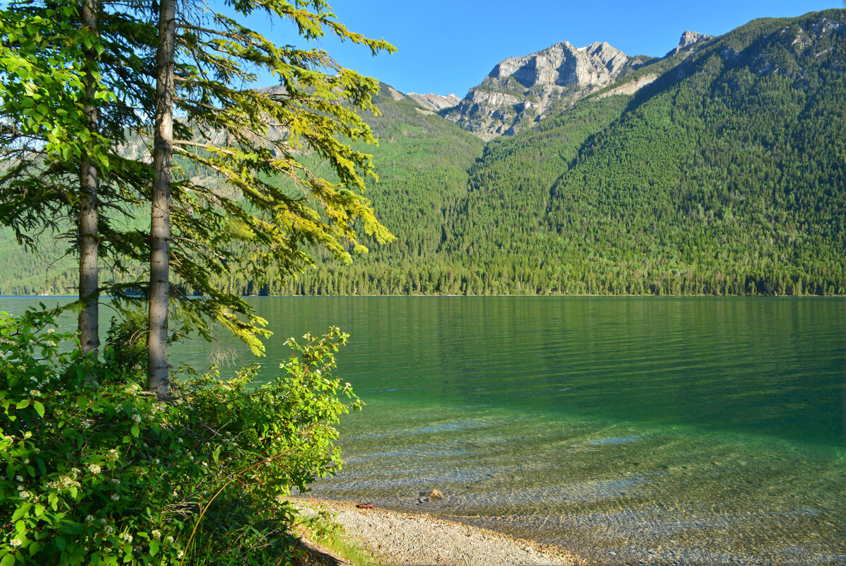 Whiteswan Lake Provincial Park