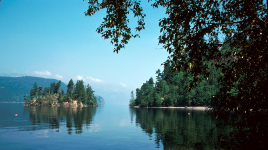 Sasquatch Provincial Park