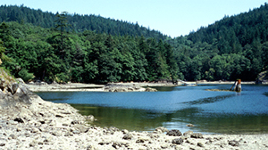Halkett Bay Marine Park