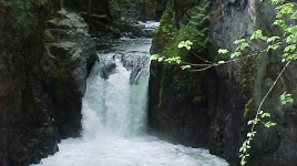 Englishman River Falls Provincial Park