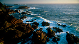 Cape Scott Provincial Park