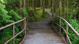 Golden Ears Provincial Park