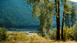 Kokanee Creek Provincial Park